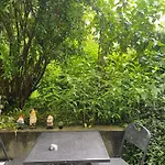 L'angolino