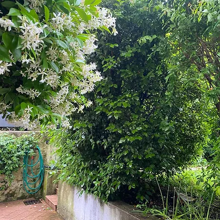 Apartment L'angolino