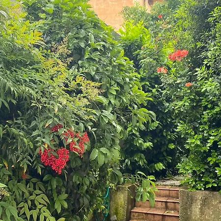 L'angolino Apartment Trient