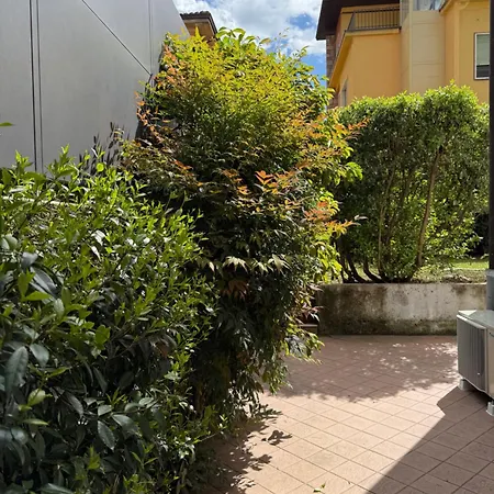 L'angolino Trento