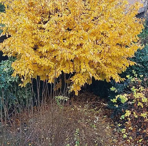 L'angolino 아파트 트렌토