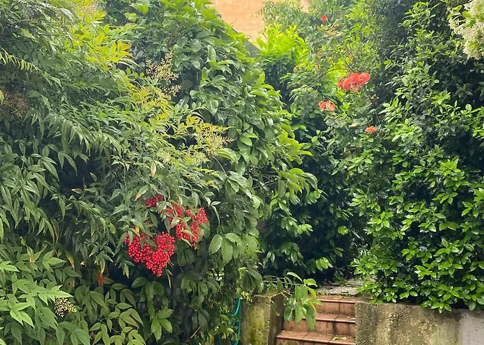 L'angolino Apartment Trento