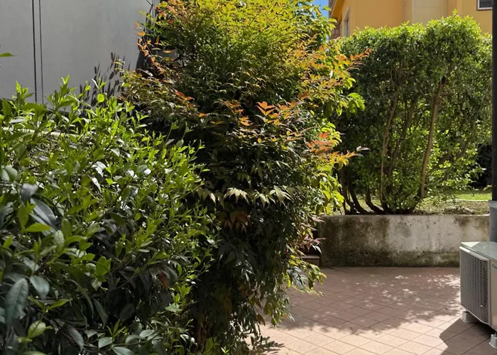 L'angolino 트렌토